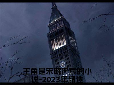 主角是宋晓严辰的小说-2023年精选热门小说（宋晓严辰）