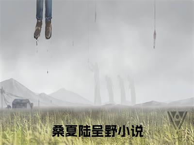 桑夏陆呈野全文免费阅读无弹窗大结局_ 桑夏陆呈野最新章节列表笔趣阁