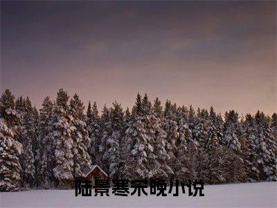 陆景寒宋晚小说大结局免费阅读-完结版陆景寒宋晚小说免费阅读