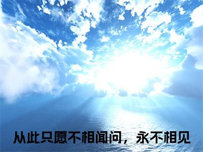 从此只愿不相闻问，永不相见小说（姚莫婉夜君清）无弹窗大结局-姚莫婉夜君清（从此只愿不相闻问，永不相见）完整版免费阅读