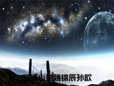 魏锦辰孙歆全集小说完整版大结局-小说魏锦辰孙歆全文完整版免费阅读