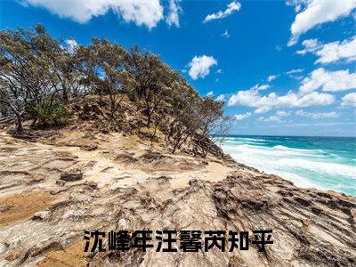 沈峰年汪馨芮小说无广告免费阅读无删减