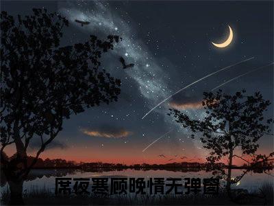 席夜寒顾晚情（席夜寒顾晚情txt）全文免费阅读无弹窗大结局_席夜寒顾晚情最新章节列表_笔趣阁（席夜寒顾晚情txt）