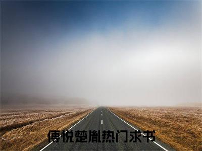 主角为傅悦楚胤的言情小说讲的是什么-正版小说全文阅读