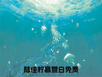 陆佳柠慕暨白（陆佳柠慕暨白）全文免费阅读无弹窗大结局_陆佳柠慕暨白免费阅读无弹窗