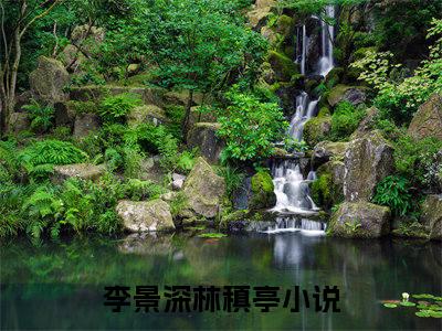 失约台风小说在线阅读全文无弹窗_李景深林稹亭小说最新全文完整无删减版