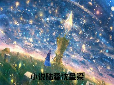 热推新书陆森沈星染小说全文（陆森沈星染）全文免费阅读_陆森沈星染最新章节无弹窗阅读