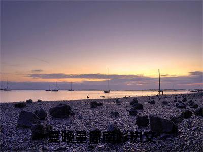 夏晚星简南杉（夏晚星简南杉）免费小说-（夏晚星简南杉）完结版在线阅读