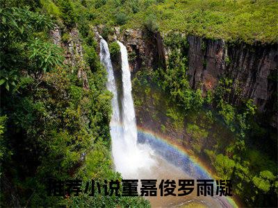 董嘉俊罗雨凝小说免费阅读（董嘉俊罗雨凝）全文免费阅读无弹窗大结局_董嘉俊罗雨凝小说免费阅读最新章节列表_笔趣阁（董嘉俊罗雨凝）