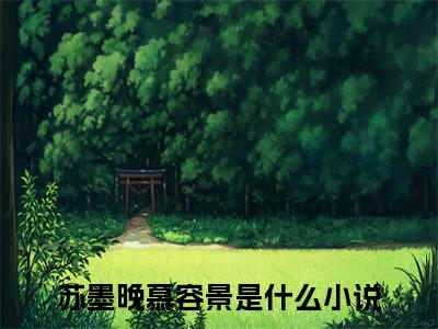 苏墨晚慕容景（本王不吃软饭全章节完整版）免费阅读-苏墨晚慕容景全文无删减阅读