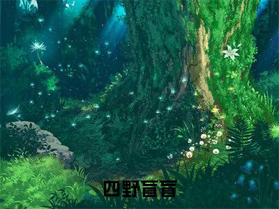 四野盲盲（柳不言沈丘）小说结局-四野盲盲全文无弹窗阅读