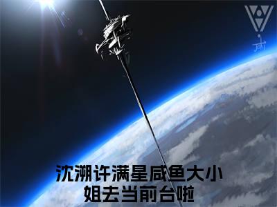 沈溯许满星（咸鱼大小姐去当前台啦）精彩热门小说-沈溯许满星全章节免费阅读