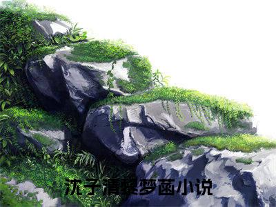 沈子清黎梦菡（沈子清黎梦菡）全文免费阅读无弹窗大结局_沈子清黎梦菡全文免费阅读（沈子清黎梦菡）最新章节列表_笔趣阁