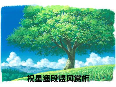 祝星遥段煜风（祝星遥段煜风）全文免费阅读_祝星遥段煜风（祝星遥段煜风）最新章节小说免费阅读（祝星遥段煜风）