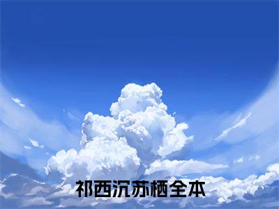 祁西沉苏栖免费阅读无弹窗大结局-祁西沉苏栖（祁西沉苏栖最新全章节大结局）全文阅读