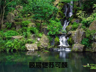 顾宸恺苏可颜最火热点小说最新更新-顾宸恺苏可颜全文免费无弹窗