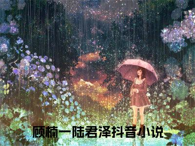 顾楠一陆君泽全文免费完整版 顾楠一陆君泽在线试读