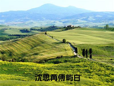 沈思苒傅屿白全本小说无弹窗阅读-沈思苒傅屿白（沈思苒傅屿白）精彩热门小说