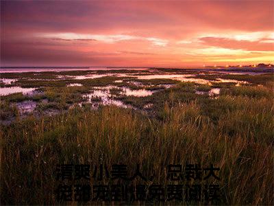 战时南
凌雨馨战小说全文免费阅读（清爽小美人，总裁大佬甜宠到爆）全文免费阅读无弹窗大结局_(清爽小美人，总裁大佬甜宠到爆)战时南
凌雨馨战小说免费阅读无弹窗最新章节列表_笔趣阁（清爽小美人，总裁大佬甜宠到爆）