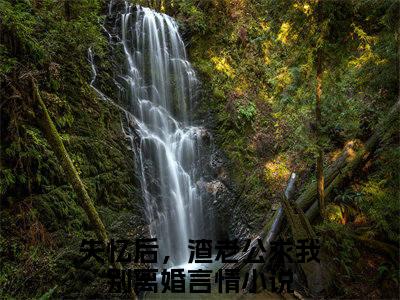 （失忆后，渣老公求我别离婚）全文免费阅读无弹窗大结局 乐颜陆寒山免费阅读最新章节精彩免费阅读_笔趣阁