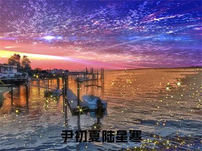 尹初夏陆星寒（星光落入夏夜时）全文免费阅读无弹窗_尹初夏陆星寒:星光落入夏夜时最新小说_笔趣阁