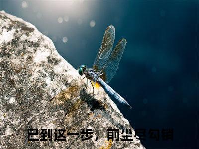 已到这一步，前尘尽勾销宋初瑶陆北泽全文免费阅读_（已到这一步，前尘尽勾销免费阅读无弹窗）宋初瑶陆北泽最新章节列表笔趣阁