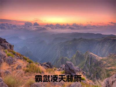 霸武凌天林雨全文免费阅读无弹窗大结局_(霸武凌天林雨)最新章节列表笔趣阁（霸武凌天林雨）