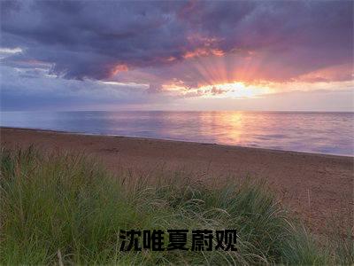 小说（沈唯夏蔚观）沈唯夏蔚观全文免费阅读无弹窗-沈唯夏蔚观小说全文在线赏析(今日更新最新章节)