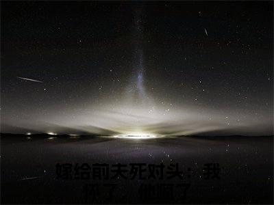 沈星乔池宴忱（嫁给前夫死对头：我怀了，他疯了小说）全文免费阅读无弹窗大结局-嫁给前夫死对头：我怀了，他疯了小说最新章节列表_笔趣阁