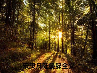 宋曳月陆晏辞全文（宋曳月陆晏辞）全文免费阅读无弹窗大结局_宋曳月陆晏辞最新章节列表_笔趣阁（宋曳月陆晏辞）