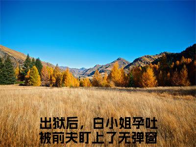 出狱后，白小姐孕吐被前夫盯上了小说免费阅读无弹窗，小说名字是：白凝墨晟渊的小说在线阅读无删减