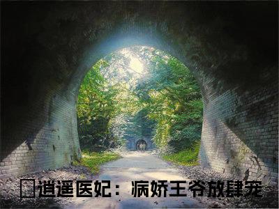 （逍遥医妃：病娇王爷放肆宠）苏念音陆峻宸全文免费阅读无弹窗大结局_（苏念音陆峻宸）逍遥医妃：病娇王爷放肆宠免费阅读无弹窗最新章节列表