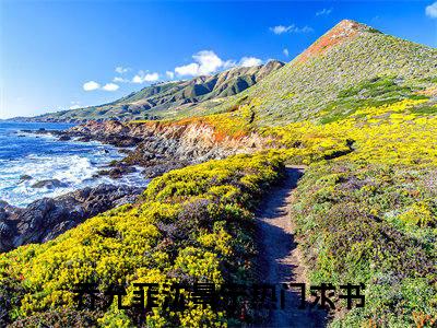 乔允菲沈景宁（乔允菲沈景宁）全文免费阅读-（乔允菲沈景宁无弹窗阅读）最新章节小说免费阅读