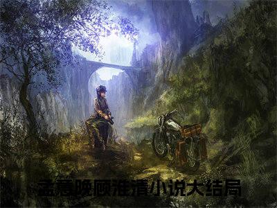 孟意晚顾淮清最新章节在线阅读-全文小说孟意晚顾淮清