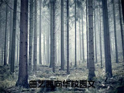 曲艺茜向华最新（曲艺茜向华 ）全文免费阅读无弹窗大结局笔趣阁