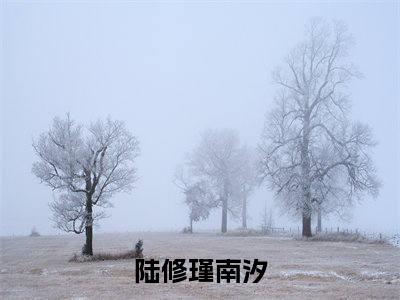 陆修瑾南汐（陆修瑾南汐小说）全文免费阅读无弹窗大结局_陆修瑾南汐最新章节列表笔趣阁