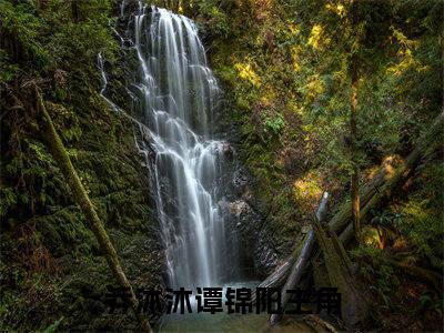 免费小说（乔沐沐谭锦阳）全文无弹窗阅读 乔沐沐谭锦阳大结局免费阅读无弹窗