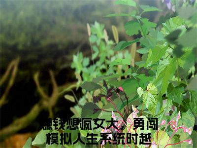 赚钱想疯女大，勇闯模拟人生系统时越小说（赚钱想疯女大，勇闯模拟人生系统时越）全文免费阅读_赚钱想疯女大，勇闯模拟人生系统时越小说最新章节列表笔趣阁小说