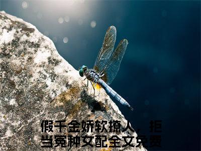 假千金娇软撩人，拒当冤种女配（苏莞江遇）全文免费阅读大结局-假千金娇软撩人，拒当冤种女配最新章节列表笔趣阁