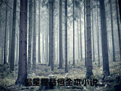 （免费）+（番外）主角是温星程岳恒的小说-无尽娇宠全文无弹窗免费阅读