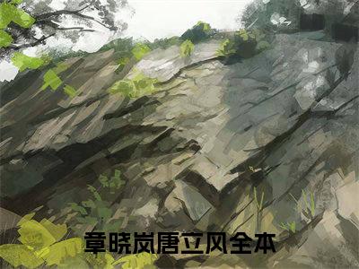 章晓岚唐立风（章晓岚唐立风）全文免费阅读无弹窗_章晓岚唐立风小说最新章节列表无删减_笔趣阁