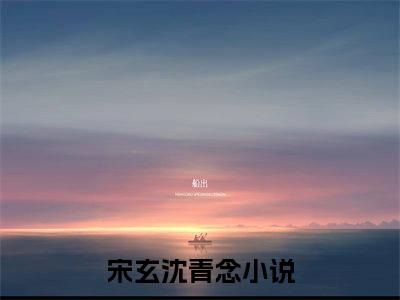 生娃死遁后，新帝抱娃夜夜痛哭（宋玄沈青念）全文免费阅读无弹窗_生娃死遁后，新帝抱娃夜夜痛哭最新小说_笔趣阁