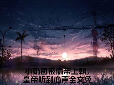 小奶团被偷带上朝，皇帝听到心声姜稚萧景垣小说全文免费阅读_姜稚萧景垣（小奶团被偷带上朝，皇帝听到心声）最新章节列表笔趣阁