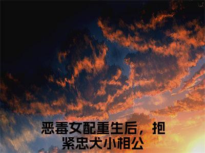 陆芝芝苏云恒（恶毒女配重生后，抱紧忠犬小相公）全文免费阅读无弹窗大结局_（恶毒女配重生后，抱紧忠犬小相公）恶毒女配重生后，抱紧忠犬小相公最新章节列表