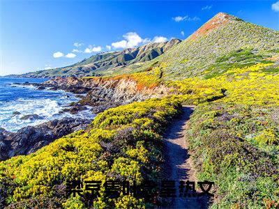 梁京隽叶念星小说全文免费阅读我的爱情，死在了那个夏天免费完整版阅读