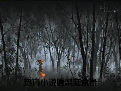 唐梨陆承景（唐梨陆承景）全文免费阅读无弹窗大结局唐梨陆承景