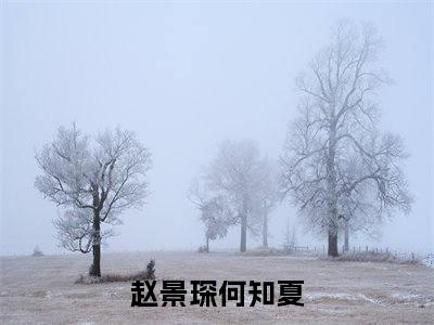 赵景琛何知夏(赵景琛何知夏)全文免费阅读无弹窗大结局_赵景琛何知夏全文阅读_笔趣阁（赵景琛何知夏）