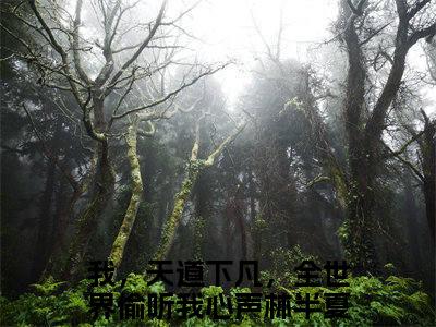 我，天道下凡，全世界偷听我心声林半夏（我，天道下凡，全世界偷听我心声林半夏）完整版全文全章节阅读我，天道下凡，全世界偷听我心声林半夏