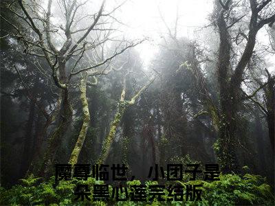 颜清颜司旭小说（魔尊临世，小团子是朵黑心莲）全文免费阅读无弹窗大结局_魔尊临世，小团子是朵黑心莲小说最新章节列表_笔趣阁