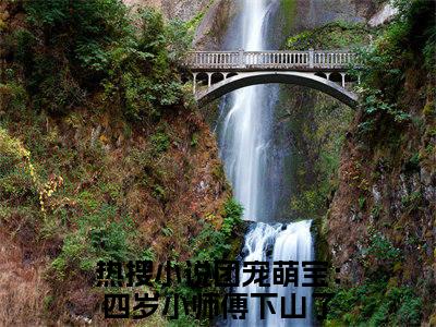 安景轩夏雨沫（团宠萌宝：四岁小师傅下山了免费小说）全文免费阅读无弹窗大结局_团宠萌宝：四岁小师傅下山了免费小说最新章节列表_笔趣阁